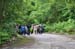 2-DSC_0004 (136)